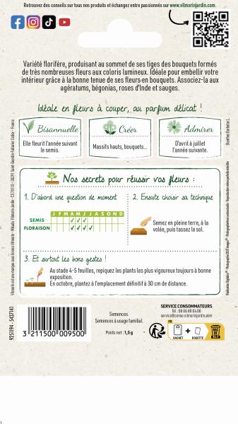 Fleurs - Œillet de Poète Hirondelle Varié - MEDIA_PACKAGING_VERSO